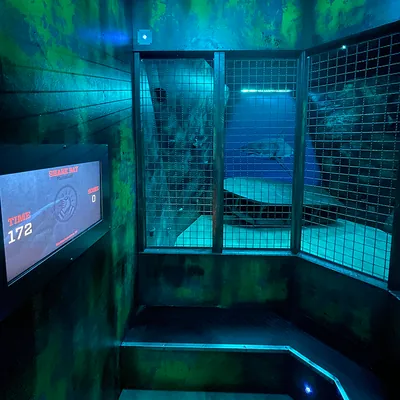 La cellule La Cage de Prison Island
